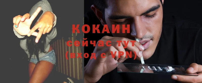 сколько стоит  Павлово  COCAIN VHQ 