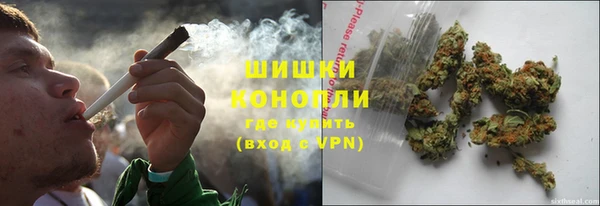 хмурый Осинники