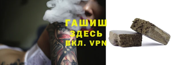 хмурый Осинники
