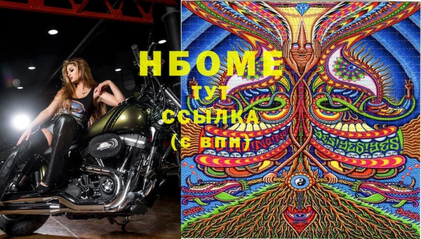apvp Няндома