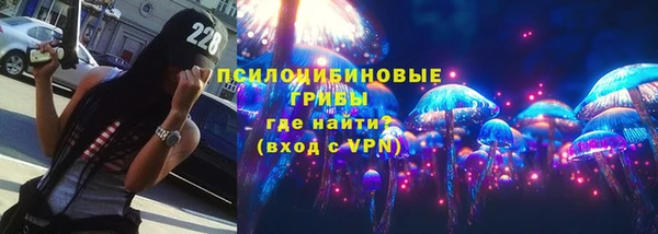 соль ск Нязепетровск