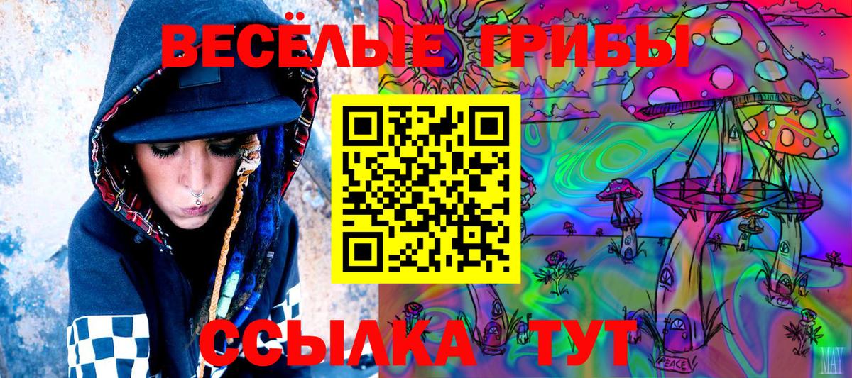 Галлюциногенные грибы Psilocybine cubensis  Галлюциногенные грибы Magic Shrooms  как найти   Павлово  Вход с VPN 
