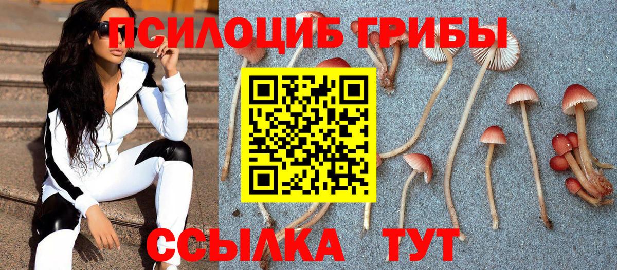 Псилоцибиновые грибы прущие грибы Павлово